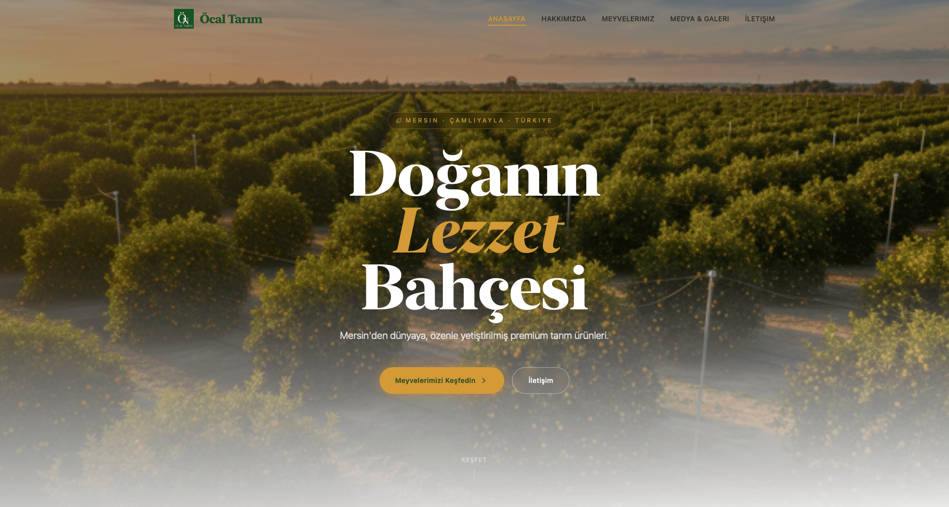 Öcal Tarım web sitesi ana ekranı